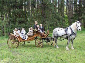 Classic Carriage Drives - Accommodation Broome 0