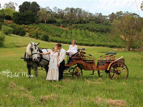 Classic Carriage Drives - Accommodation Broome 2