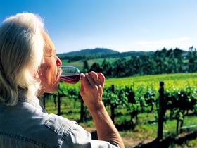 Ashton Hills Vineyard - Accommodation Broome 0