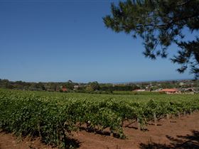Grancari - Accommodation Broome 0