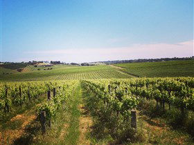 Adelaide Winemakers - Accommodation Broome 0