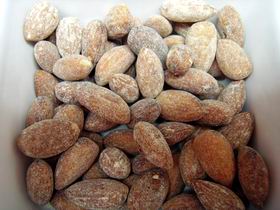 Almondco Almond Hut - Accommodation Broome 0