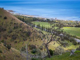 Lady Bay Beach - Accommodation Broome 1