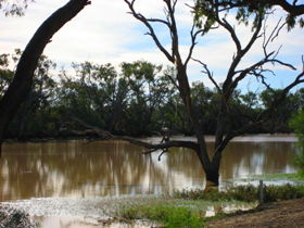 Allan Tannock Weir - Accommodation Broome 3