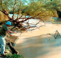 Charleville - Ward River Fishing Spot - Accommodation Broome