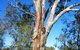 ODonnell Park At Curlwaa - thumb 2
