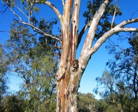 ODonnell Park At Curlwaa - Accommodation Broome 2