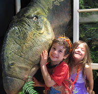 Australian Opal Centre - Accommodation Broome