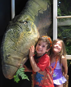 Australian Opal Centre - Accommodation Broome 0
