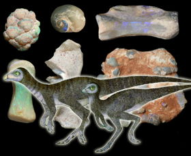 Australian Opal Centre - Accommodation Broome 2