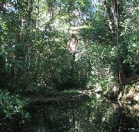 Wabunga Wayemba Charmillan Creek walking track - Accommodation Broome