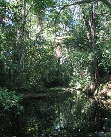 Wabunga Wayemba (Charmillan Creek Walking Track) - Accommodation Broome 0