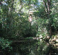 Misty Mountains Wilderness Walking Tracks - Accommodation Broome