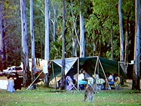 Carnarvon Gorge, Carnarvon National Park - Accommodation Broome 2