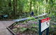 Josephine Falls, Wooroonooran National Park - thumb 2