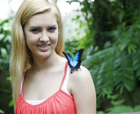 Australian Butterfly Sanctuary - Accommodation Broome 0
