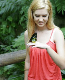 Australian Butterfly Sanctuary - Accommodation Broome 1