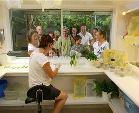 Australian Butterfly Sanctuary - Accommodation Broome 3