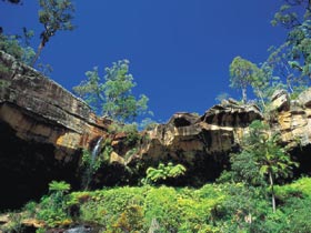 Blackdown Tableland National Park - Accommodation Broome 1
