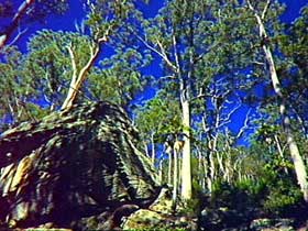 Blackdown Tableland National Park - Accommodation Broome 3