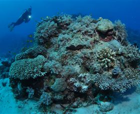 Keeper Reef Dive Site - Accommodation Broome 1