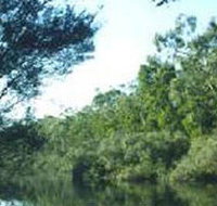 Crawford River Regional Park - Accommodation Broome