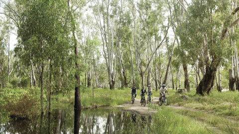 Murray Valley National Park - Accommodation Broome 3
