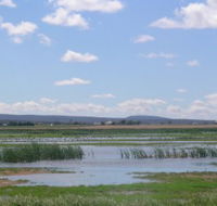 Fivebough Wetlands - Accommodation Broome