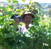 Wimmera Hills Winery - Accommodation Broome
