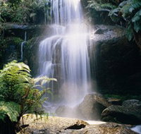 Mount Buangor State Park - Accommodation Broome