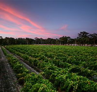 Amherst Winery