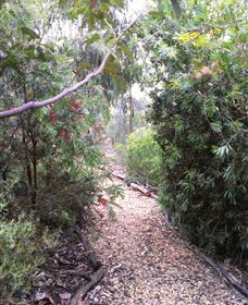 Timandra By The Sea - Accommodation Broome 8