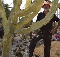 Cactus Country - Accommodation Broome