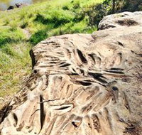 Terramungamine Rock Grooves - Accommodation Broome