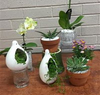 Cobram Florist - Accommodation Broome