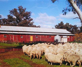 Savernake Day Tours - Accommodation Broome 1