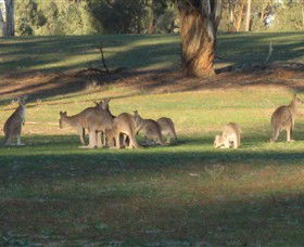 Savernake Day Tours - Accommodation Broome 4