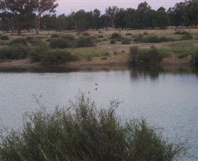 Savernake Day Tours - Accommodation Broome 7