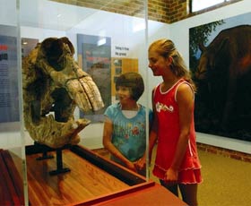 Australian Museum Diprotodon Exhibition - Accommodation Broome 0