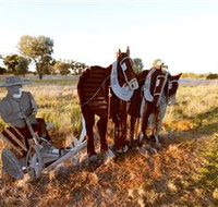 Pastoral Shadows of Brookong - Accommodation Broome