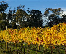 Paramoor Winery - Accommodation Broome 3