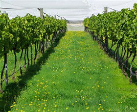 Paramoor Winery - Accommodation Broome 6