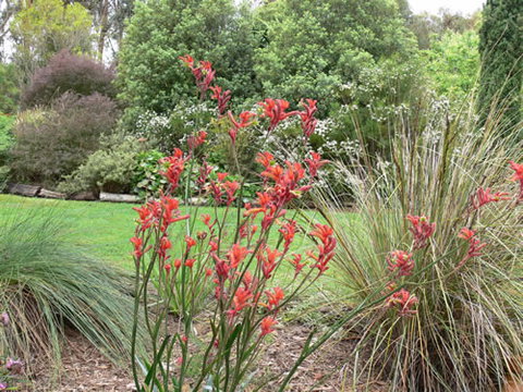 Timandra By The Sea - Accommodation Broome 11