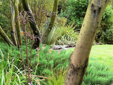 Timandra By The Sea - Accommodation Broome 12