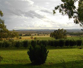 Wollundry Grove Olives - Accommodation Broome 1