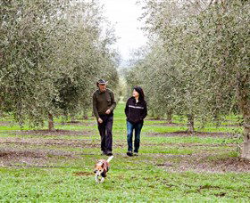 Wollundry Grove Olives - Accommodation Broome 3