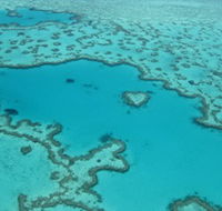 Heart Reef - Accommodation Broome