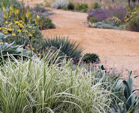 Perennialle Plants Nursery And Garden - Accommodation Broome 1