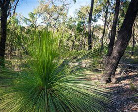 Brisbane Ranges National Park - Accommodation Broome 0