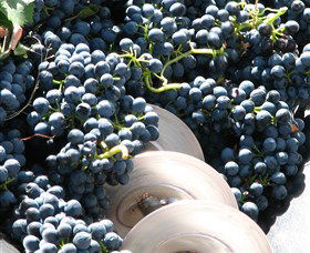 Orange Mountain Wines - Accommodation Broome 2